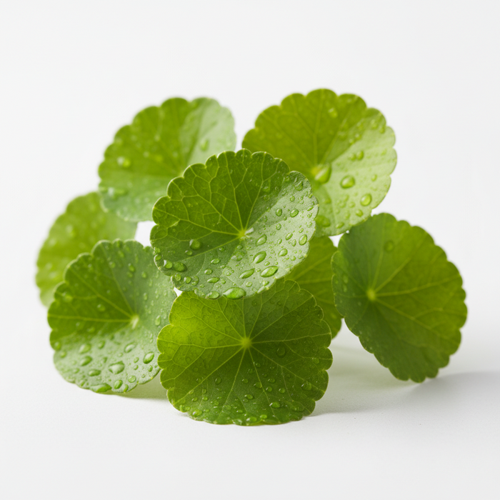Hydrocolloid